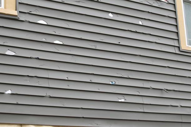 Best Same-Day Junk Removal Services  in Arabi, LA