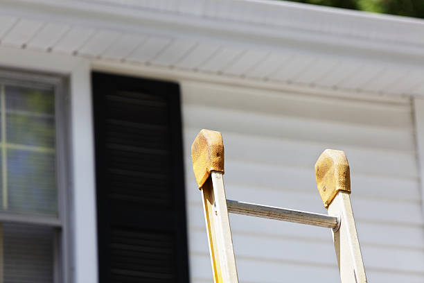 Best Shed Removal  in Arabi, LA